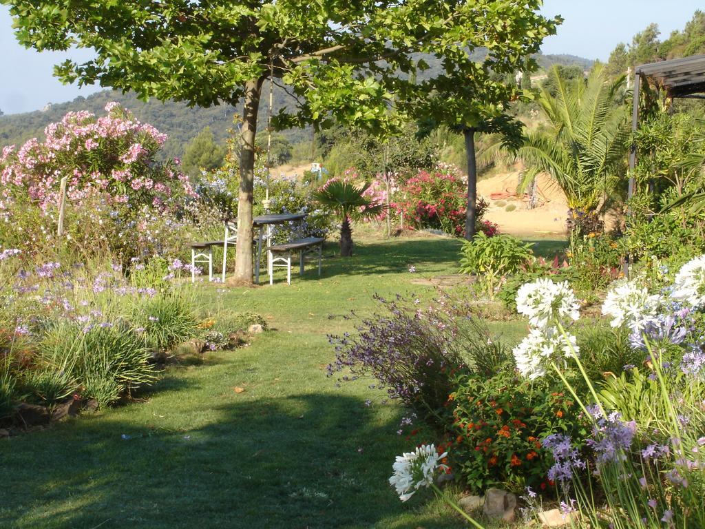 House With Garden And Sea View Villa La Londe-les-Maures Rum bild
