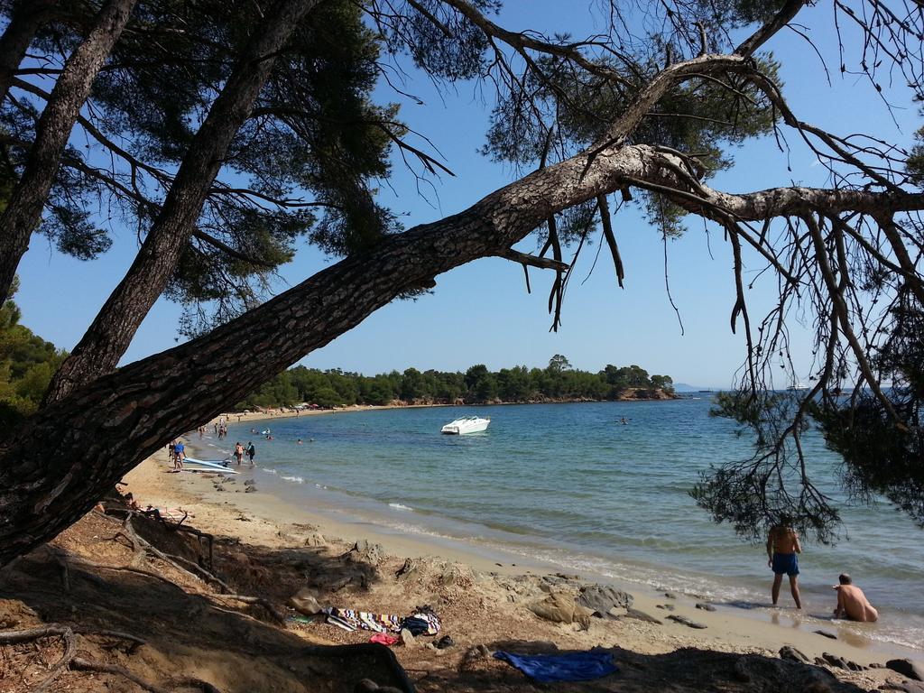 House With Garden And Sea View Villa La Londe-les-Maures Rum bild