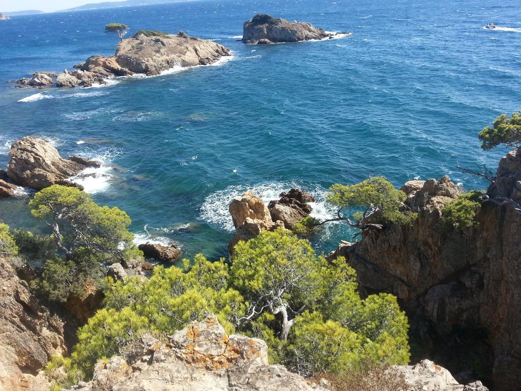 House With Garden And Sea View Villa La Londe-les-Maures Exteriör bild